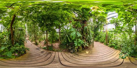 Botanischer Garten Würzburg Tropenschauhaus Tieflandregenwald