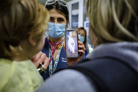 Urgences Du Chu Sainte Justine Cest Un D Sastre La Presse