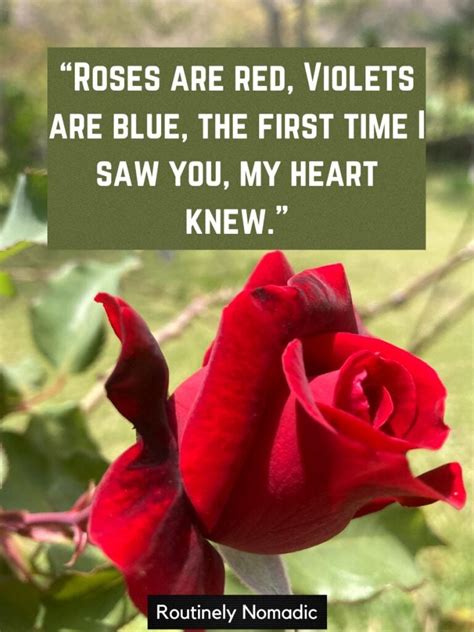 Best Roses Are Red Violets Are Blue Poems Jokes And Quotes