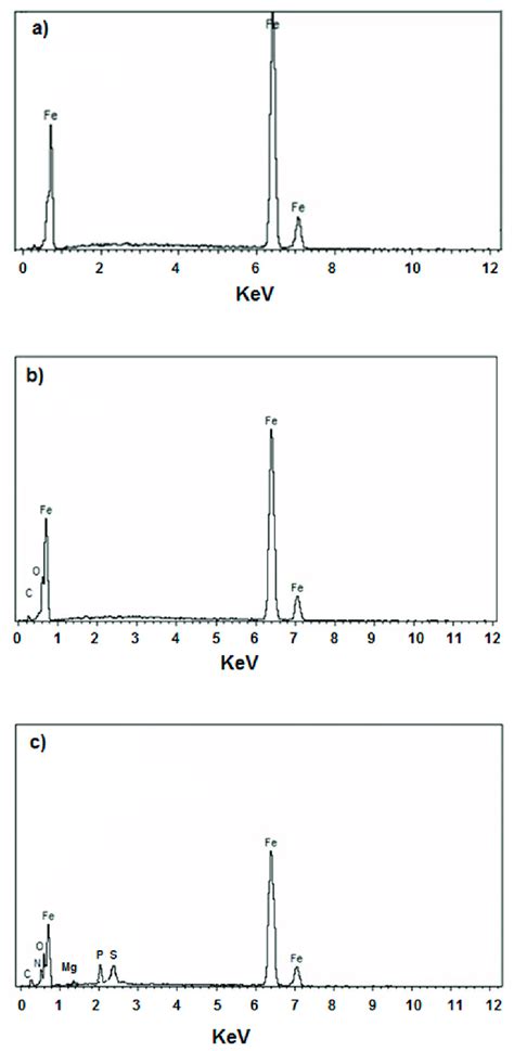 Edx Spectra Of White Marked Areas Of A Polished B Uninhibited