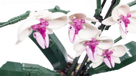 Lego For Adults Botanical Collection Orchid Review