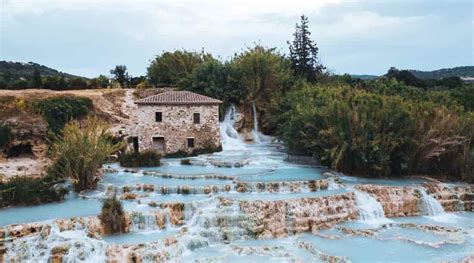 Kakadu Creta Debe Le Terme In Toscana Esquina Dedicaci N Interprete