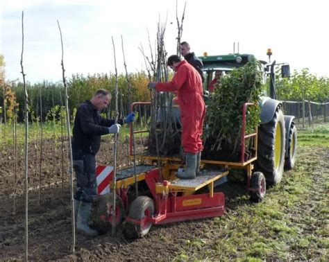 Choosing The Right Transplanter Buying Guides Agriexpo