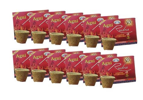 Agni Rudra Superior Pure Cup Sambrani For Aromatic Religious