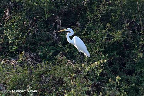 Prek Toal Bird Sanctuary and Floating Village Trip - Driver Cambodia