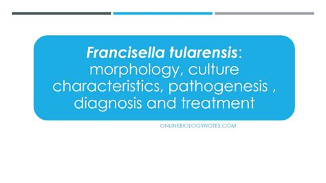 Francisella tularensis: morphology, culture characteristics, pathogenesis , diagnosis and ...