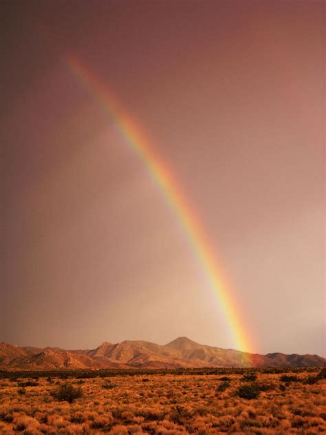 Desert Rainbow Photograph By Valerie Loop Fine Art America