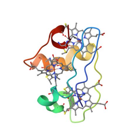 RCSB PDB 1L3O SOLUTION STRUCTURE DETERMINATION OF THE FULLY OXIDIZED