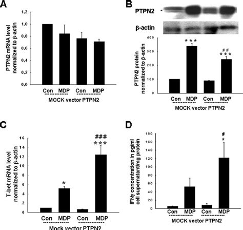 Presence Of The Ptpn Mutant Promotes Mdp Induced T Bet Expression And