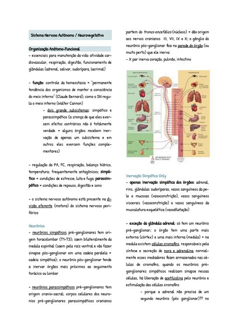 Solution Fisiologia Sistema Nervoso Aut Nomo Studypool