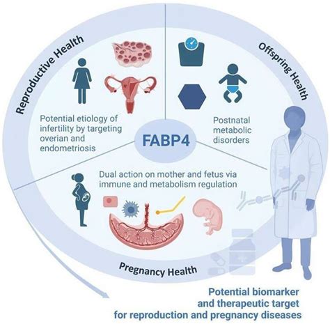 Ijms Free Full Text Pathophysiological Insight Into Fatty Acid