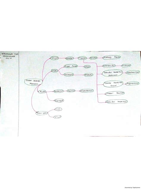 Mind Map Sistem Ekskresi Pdf