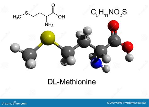 Methionine L Methionine Met M Essential Amino Acid Molecule Sheet