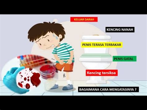 Kenapa Pipis Sakit Dan Berdarah Inilah Cara Mengatasinya Youtube