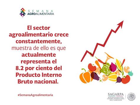 El Sector Agroalimentario Crece Constantemente Muestra De Ello Es Que