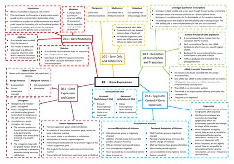 Complete Biology Revision Mind Map Set Aqa As A Level Biology 7041 7042 Teaching Resources