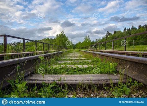 An Old Abandoned Railway Overgrown With Green Grass Stock Photo