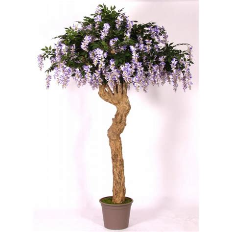 Glicine Artificiale Wisteria Tronco Majestic H Cm Verdevip