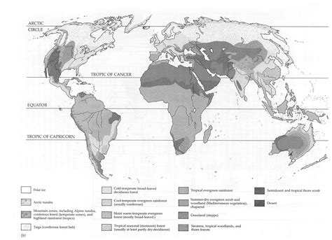 World Biome Map With Key Continents And Oceans Biomes Ocean