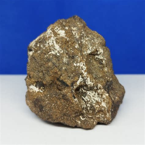 Xl Chondrite Of Enstatite Coming From The Orbit Of Mercury