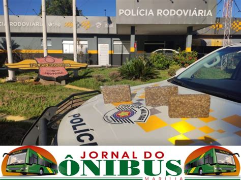 Chegado Ao Interior Mulher Flagrada Em Nibus Transportando A K