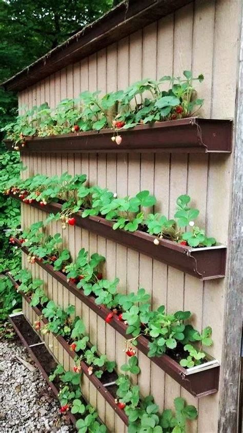 25 Diy Strawberry Planter Ideas Bed Container And Vertical Atelier