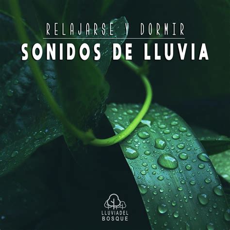 Relajarse Y Dormir Sonidos De Lluvia” álbum De Lluvia Del Bosque En