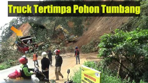 Info Longsor Hari Ini Evakuasi Pohon Tumbang Timpa Satu Truck Youtube