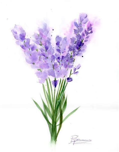 Buy Lavender Painting Watercolor By Olga Shefranov On Artfinder Discover Thousands Of Other