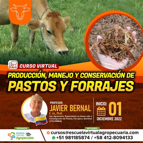 Curso On Line Producción Manejo Y Conservación De Pastos Y Forrajes