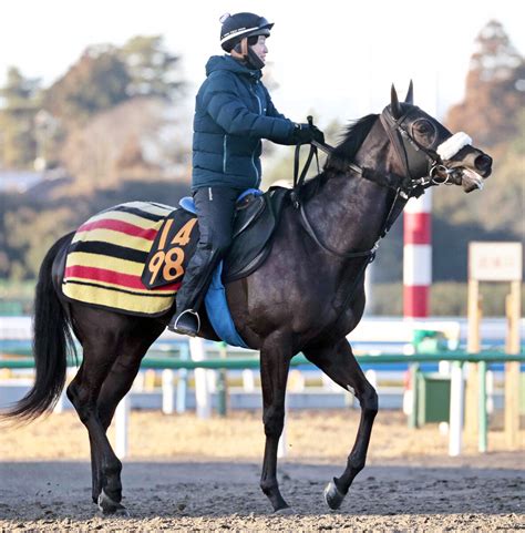 土曜メインレースの注目激走馬東京11rクイーンカップ・g3 ライブドアニュース