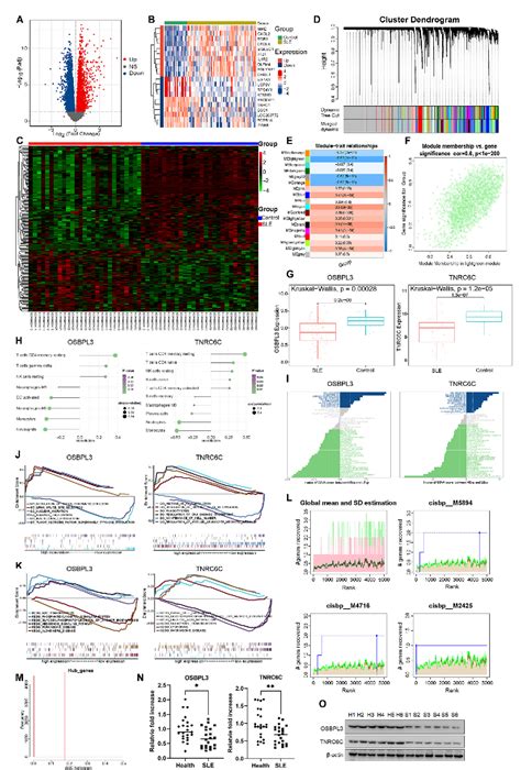 Figure 1 From Identification Of Methylated Differentially Expressed Hub