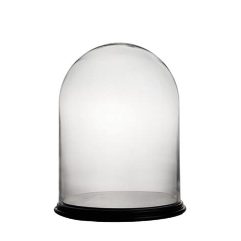 Glass Dome Large 12 X 16 1 2 H Glass Domes And Acrylic Domes