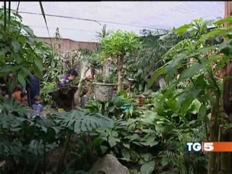 La Casa Delle Farfalle Di Montegrotto Terme Youtube