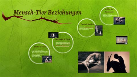 Mensch Tier Beziehungen By R R On Prezi