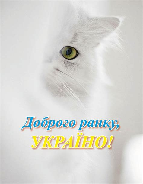 Доброго ранку, Україно!