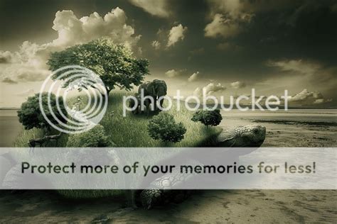 Surreal Turtle Photo By Groningen Photos Photobucket