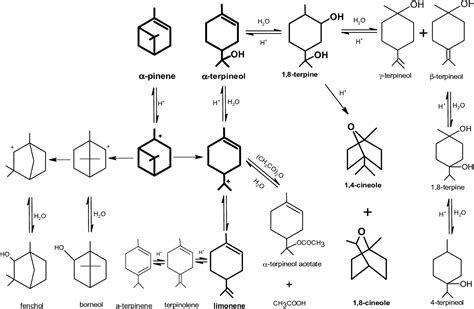 Synthesis of Terpineol from α-Pinene Using Low-Price Acid Catalyst | Semantic Scholar