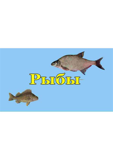 Раскраска рыбы карточки. карточки рыбы