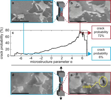 Microstructural Damage Sensitivity Prediction Using Spatial Statistics