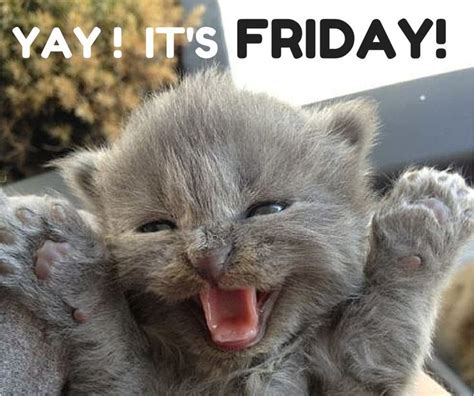 Yay It's Friday Pictures, Photos, and Images for Facebook, Tumblr ... 