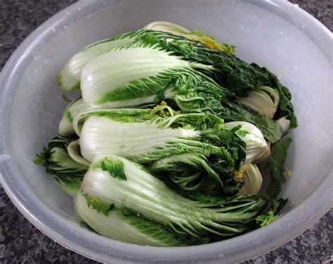 Kimchi and Kkakdugi recipe - Maangchi.com