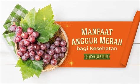 Manfaat Anggur Merah Untuk Kesehatan Yang Perlu Kamu Tahu