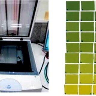 Microtek scanner (left) and calibration films images (right). | Download Scientific Diagram