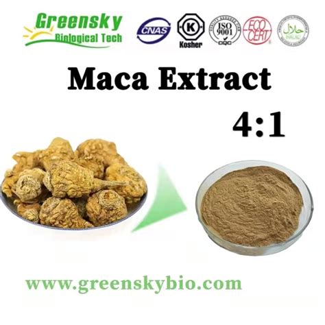 Kosher Halal Certified Plant Extract Herbal Extract 4 1 Macamides Maca