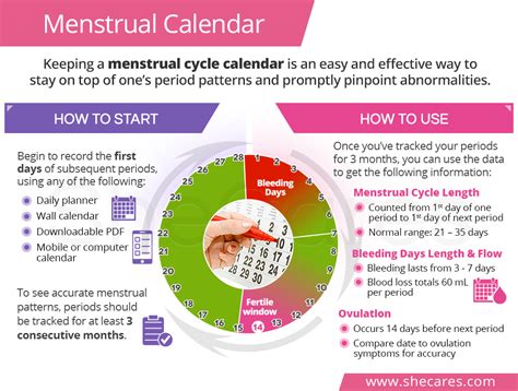 Printable Menstrual Cycle Calendar