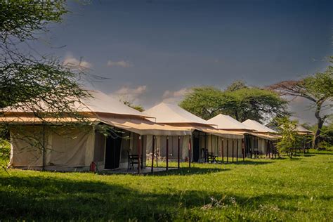 Acacia Central Individuele Reizen Op Maat Naar Zuid Afrika Namibië