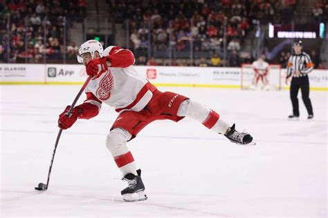 Red Wings Trade Filip Hronek To Canucks For First Round Pick Is He