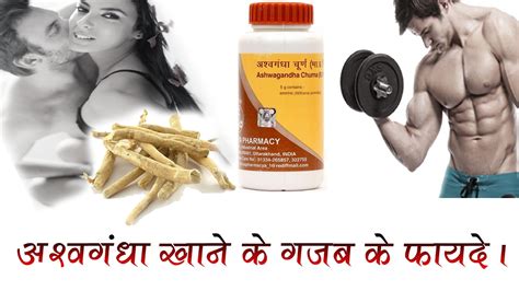 अश्वगंधा खाने के गजब के फायदे और कोन इसका सेवन न करें । Benefits Of