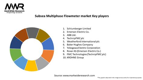 Subsea Multiphase Flowmeter Market 2024 2032 Size Share Growth